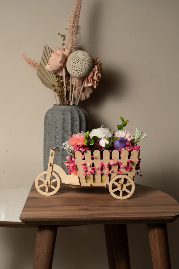 DSC09590 Кошничка колело